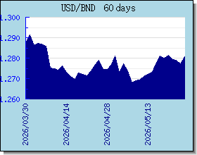 BND 為替レートのグラフとグラフ